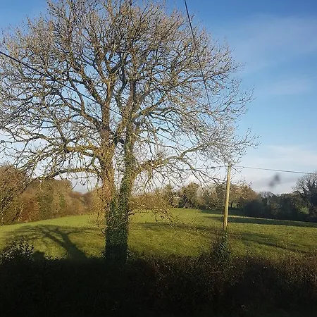 Cully Leitrim County Leitrim